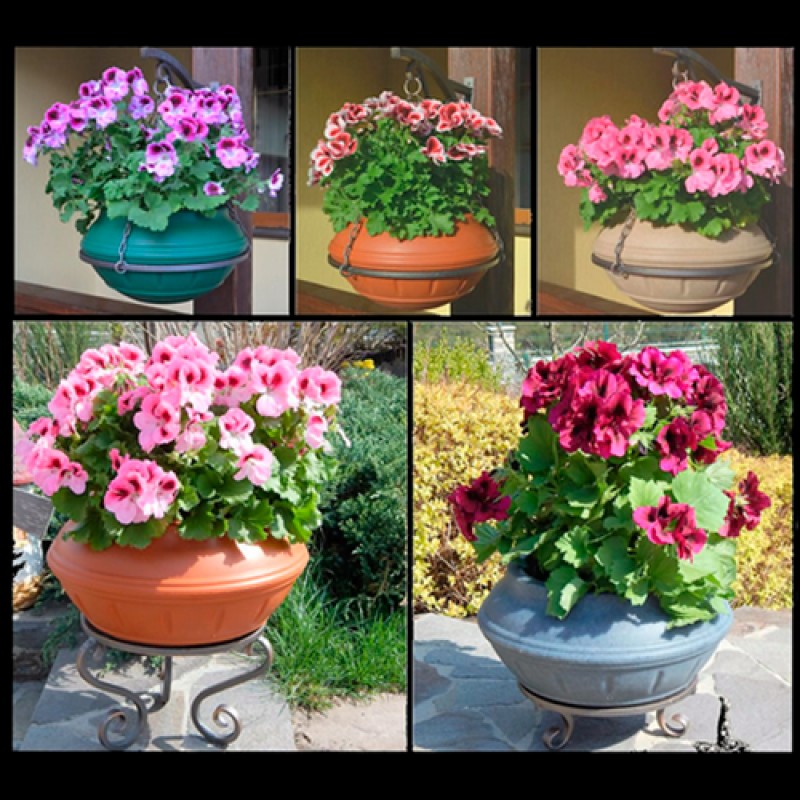 Torratxa amb suport M350